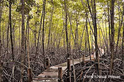 Rayong : Places of Interest